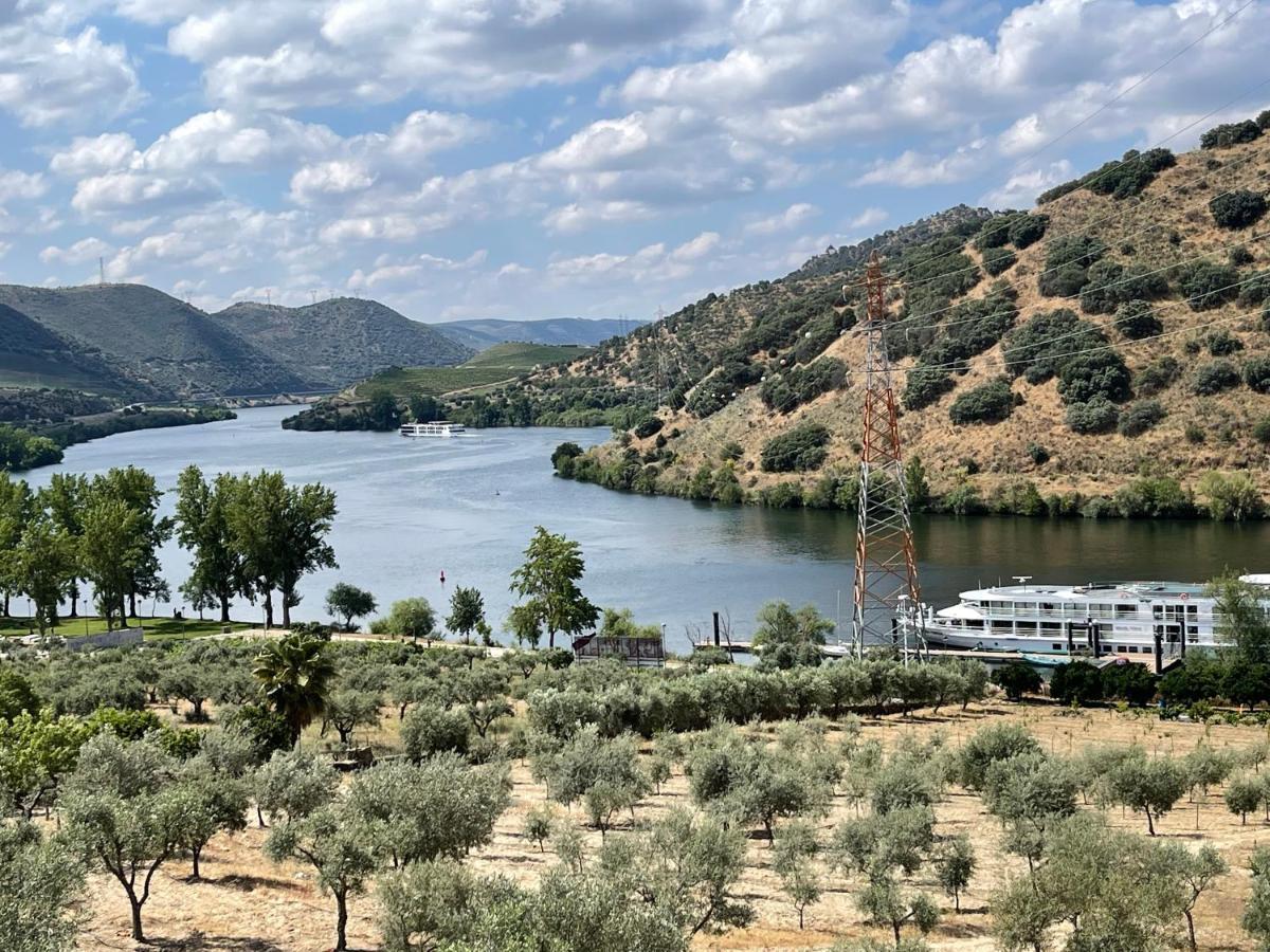 토레드몽코보 Douro Visit House 빌라 외부 사진